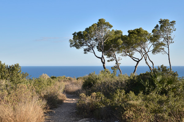 Oropesa’s beach