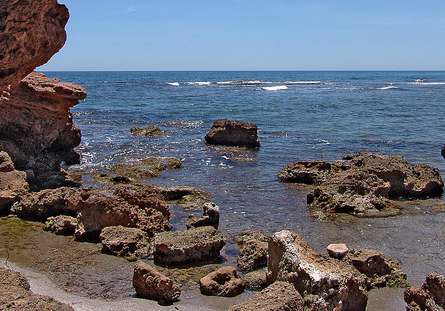 Espacios Naturales - Detalle Cala Rocosa - Costa de Azahar (RUSTICMED - www.rusticmed.es)