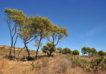 Espacios Naturales - Costa de Azahar (RUSTICMED - www.rusticmed.es)