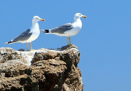 Islas Columbretes